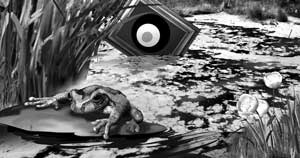 Иллюстрация к книге — Картина с кляксой [spusk.jpg]