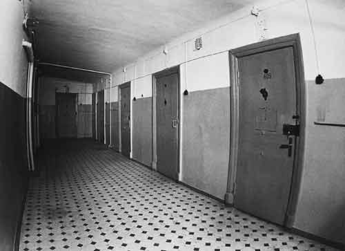 Иллюстрация к книге — Я украду твой голос [img8964.jpg]