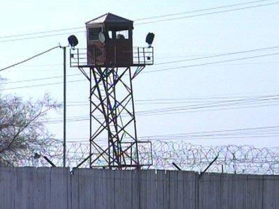 Иллюстрация к книге — Я украду твой голос [img9A84.jpg]