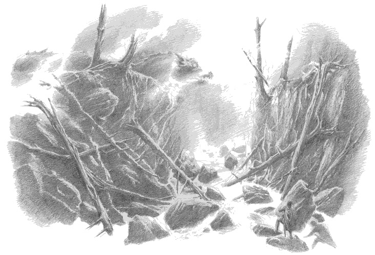 Иллюстрация к книге — Дети Хурина. Нарн и Хин Хурин [_484.jpg]