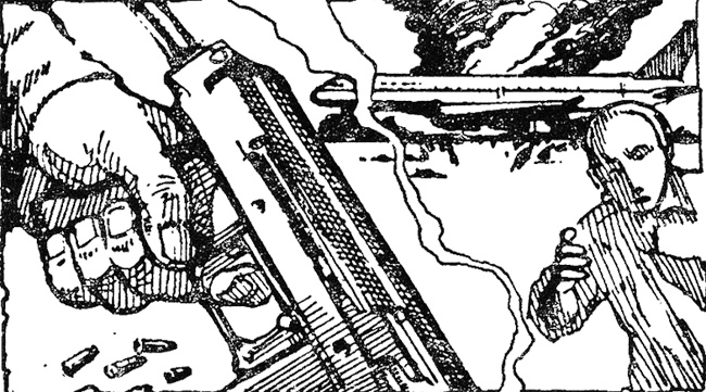 Иллюстрация к книге — Проект "Мегаполис" [i_001.jpg]