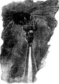 Иллюстрация к книге — Таинственные изобретения доктора Хэкенсоу [i_046.jpg]