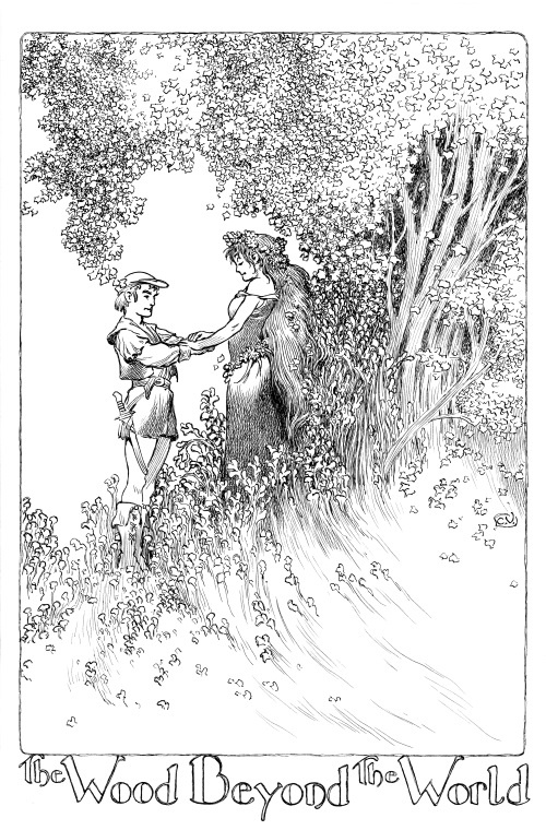 Иллюстрация к книге — Сборщик душ [_6.jpg]