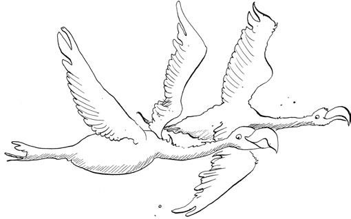 Иллюстрация к книге — Феи западных морей [i_020.jpg]