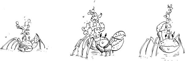 Иллюстрация к книге — Феи западных морей [i_025.jpg]