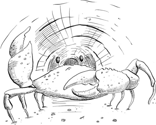 Иллюстрация к книге — Феи западных морей [i_032.jpg]