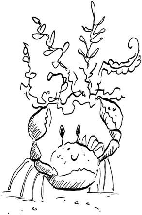 Иллюстрация к книге — Феи западных морей [i_043.jpg]