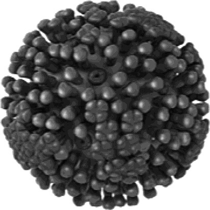 Иллюстрация к книге — Шестое вымирание [_10.jpg]