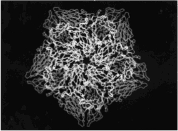 Иллюстрация к книге — Шестое вымирание [_11.jpg]