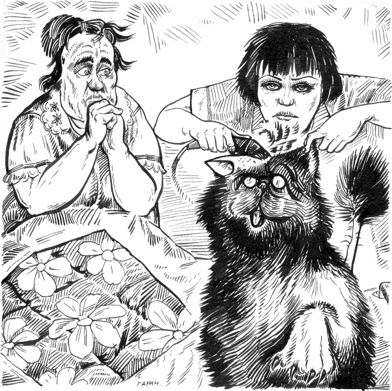 Иллюстрация к книге — Новые байки со "скорой", или Козлы и хроники [i_004.jpg]