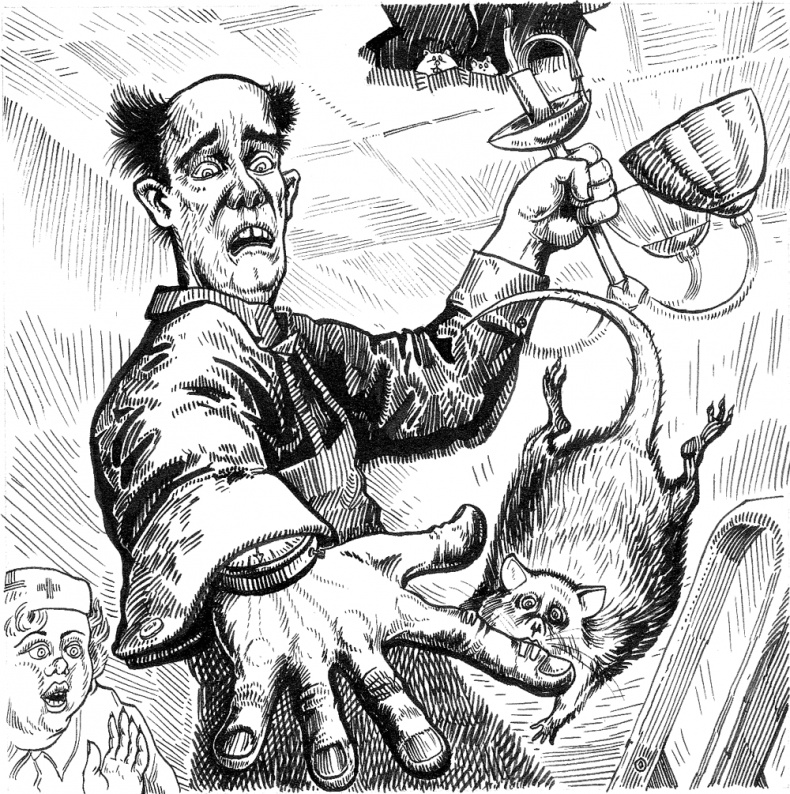 Иллюстрация к книге — Новые байки со "скорой", или Козлы и хроники [i_008.jpg]