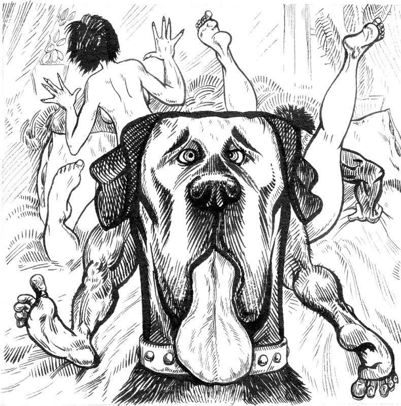 Иллюстрация к книге — Новые байки со "скорой", или Козлы и хроники [i_017.jpg]