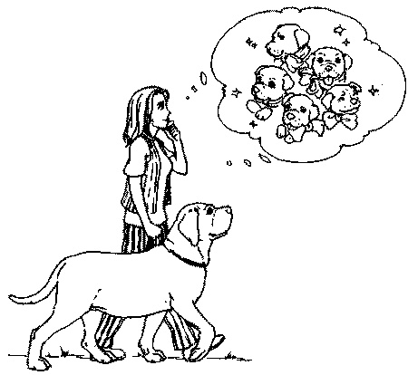 Иллюстрация к книге — Салют, Варварята! [i_001.jpg]