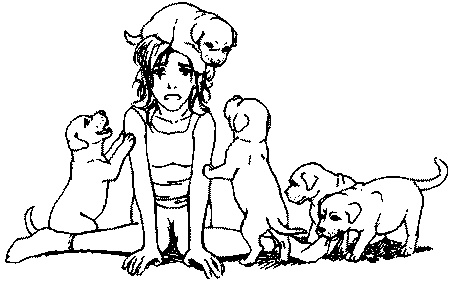 Иллюстрация к книге — Салют, Варварята! [i_004.jpg]