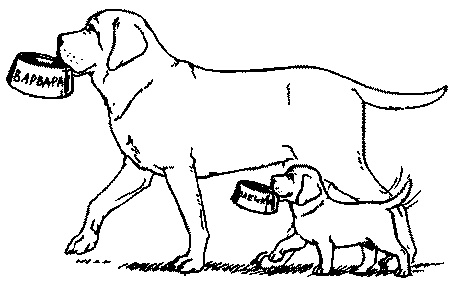 Иллюстрация к книге — Салют, Варварята! [i_007.jpg]