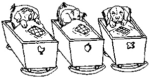 Иллюстрация к книге — Салют, Варварята! [i_014.jpg]