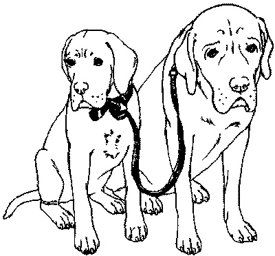 Иллюстрация к книге — Салют, Варварята! [i_019.jpg]