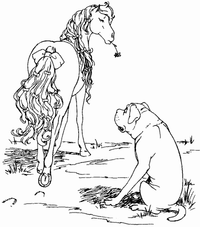 Иллюстрация к книге — Мы с Варварой ходим парой... [i_006.jpg]