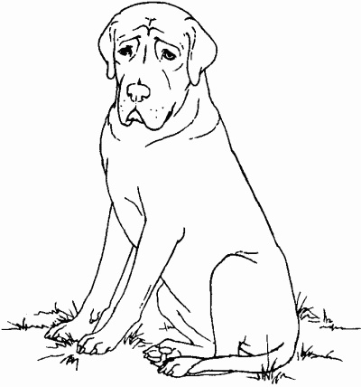 Иллюстрация к книге — Мы с Варварой ходим парой... [i_007.jpg]