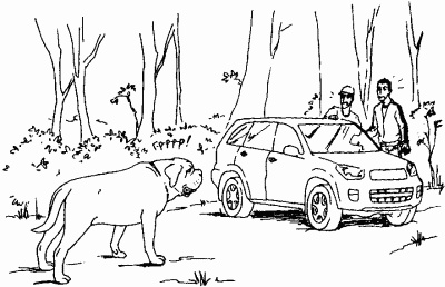 Иллюстрация к книге — Мы с Варварой ходим парой... [i_009.jpg]