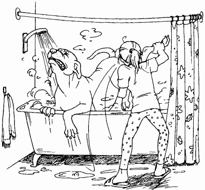 Иллюстрация к книге — Мы с Варварой ходим парой... [i_014.jpg]