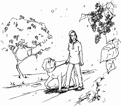 Иллюстрация к книге — Мы с Варварой ходим парой... [i_015.jpg]