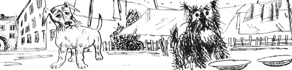 Иллюстрация к книге — Теза с нашего двора [i_007.jpg]