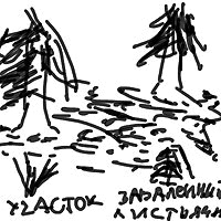 Иллюстрация к книге — Американская ария князя Игоря, или История одного реального путешествия [i_017.jpg]