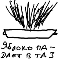 Иллюстрация к книге — Записки невесты программиста [i_061.jpg]