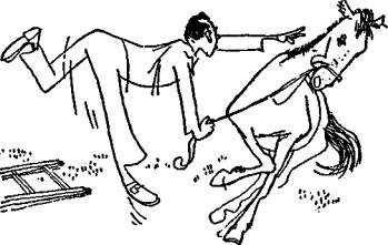 Иллюстрация к книге — Безвыходных положений не бывает [any2fbimgloader35.jpg]