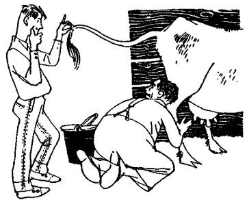 Иллюстрация к книге — Остров Веселых Робинзонов [any2fbimgloader16.jpg]