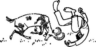 Иллюстрация к книге — Остров Веселых Робинзонов [any2fbimgloader19.jpg]