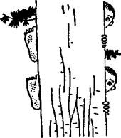 Иллюстрация к книге — Остров Веселых Робинзонов [any2fbimgloader42.jpg]