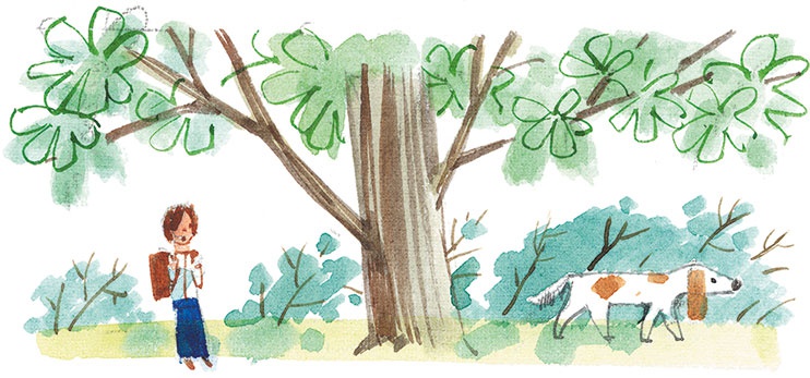 Иллюстрация к книге — Лекарство от послушности [i_009.jpg]