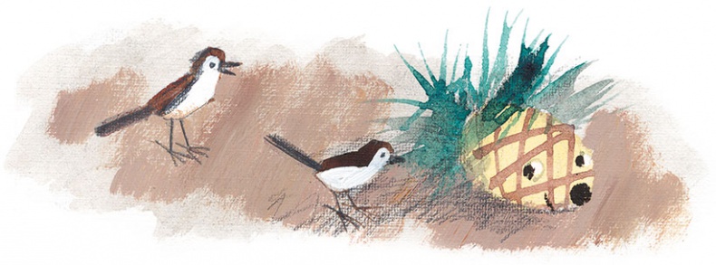 Иллюстрация к книге — Лекарство от послушности [i_013.jpg]