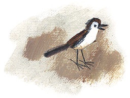 Иллюстрация к книге — Лекарство от послушности [i_031.jpg]