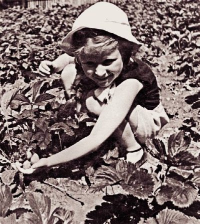 Иллюстрация к книге — Странники войны. Воспоминания детей писателей. 1941-1944 [Autogen_eBook_id172.jpg]