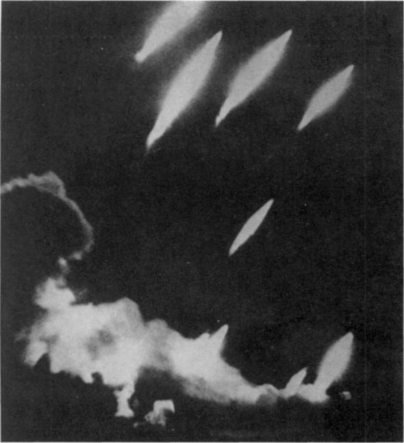 Иллюстрация к книге — Наемники Фюрера [pic_1.jpg]