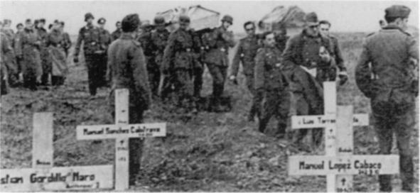 Иллюстрация к книге — Наемники Фюрера [pic_18.jpg]