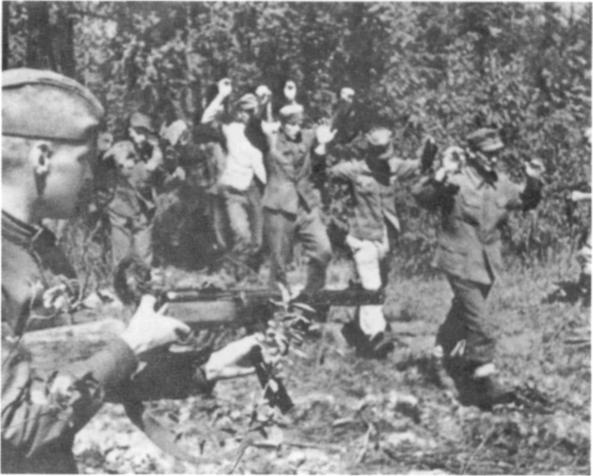 Иллюстрация к книге — Наемники Фюрера [pic_4.jpg]