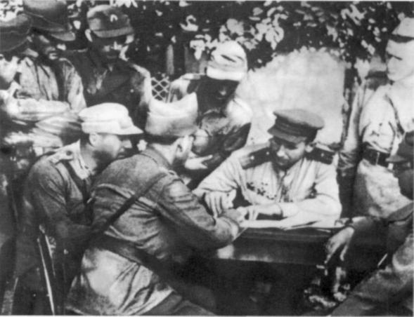 Иллюстрация к книге — Наемники Фюрера [pic_8.jpg]