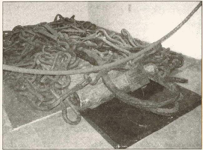 Иллюстрация к книге — Взлет и падение Османской империи [i_024.jpg]