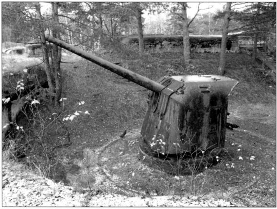 Иллюстрация к книге — Время больших пушек. Битвы за Ленинград и Севастополь [Autogen_eBook_id55.jpg]