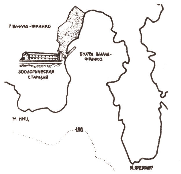 Иллюстрация к книге — Российские военные базы за рубежом. XVIII-XXI вв. [i_035.jpg]