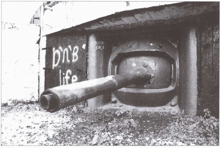 Иллюстрация к книге — Российские военные базы за рубежом. XVIII-XXI вв. [i_042.jpg]