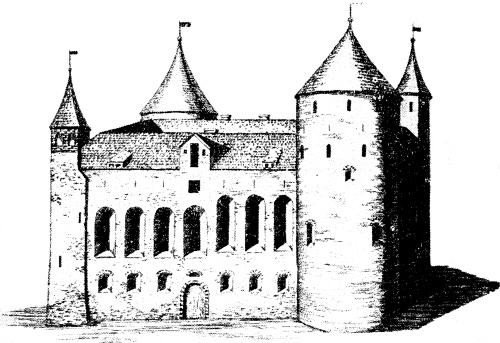 Иллюстрация к книге — Прибалтийский фугас Петра Великого [i_009.jpg]