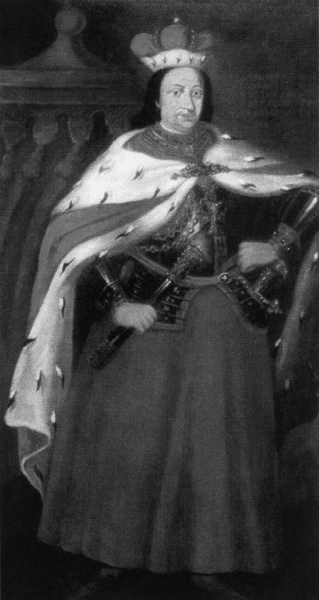 Иллюстрация к книге — Прибалтийский фугас Петра Великого [i_036.jpg]