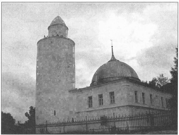 Иллюстрация к книге — Татары и русские в едином строю [i_053.jpg]