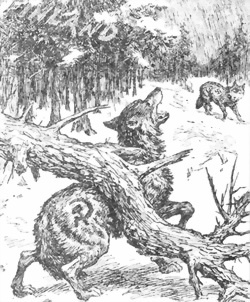 Иллюстрация к книге — Финляндия. Через три войны к миру [i_027.jpg]