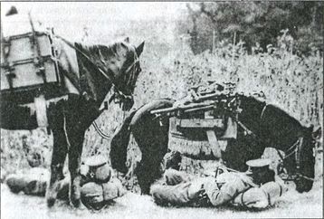 Иллюстрация к книге — Япония. Незавершенное соперничество [i_129.jpg]